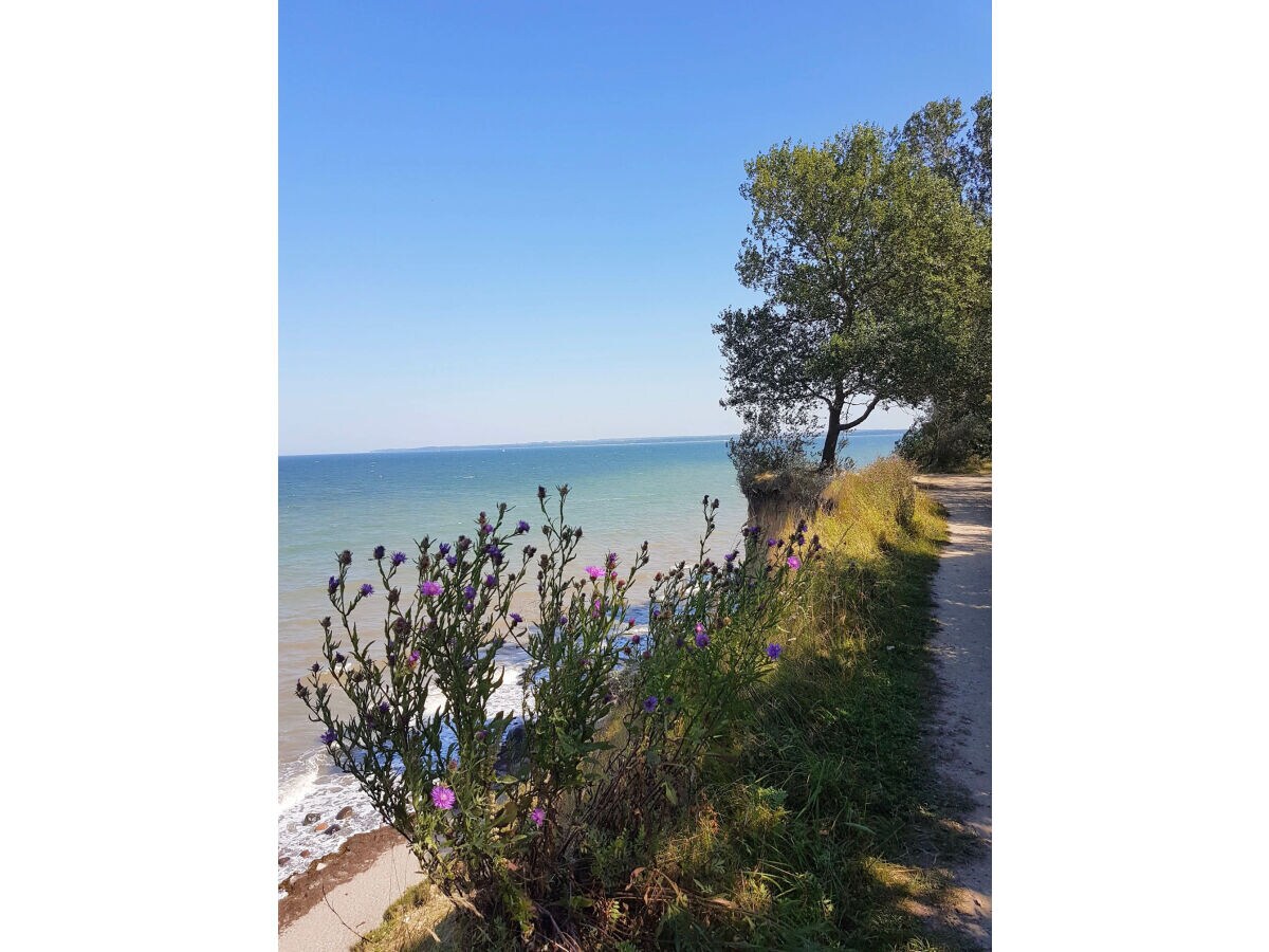 Weg am Brodtener Steilufer