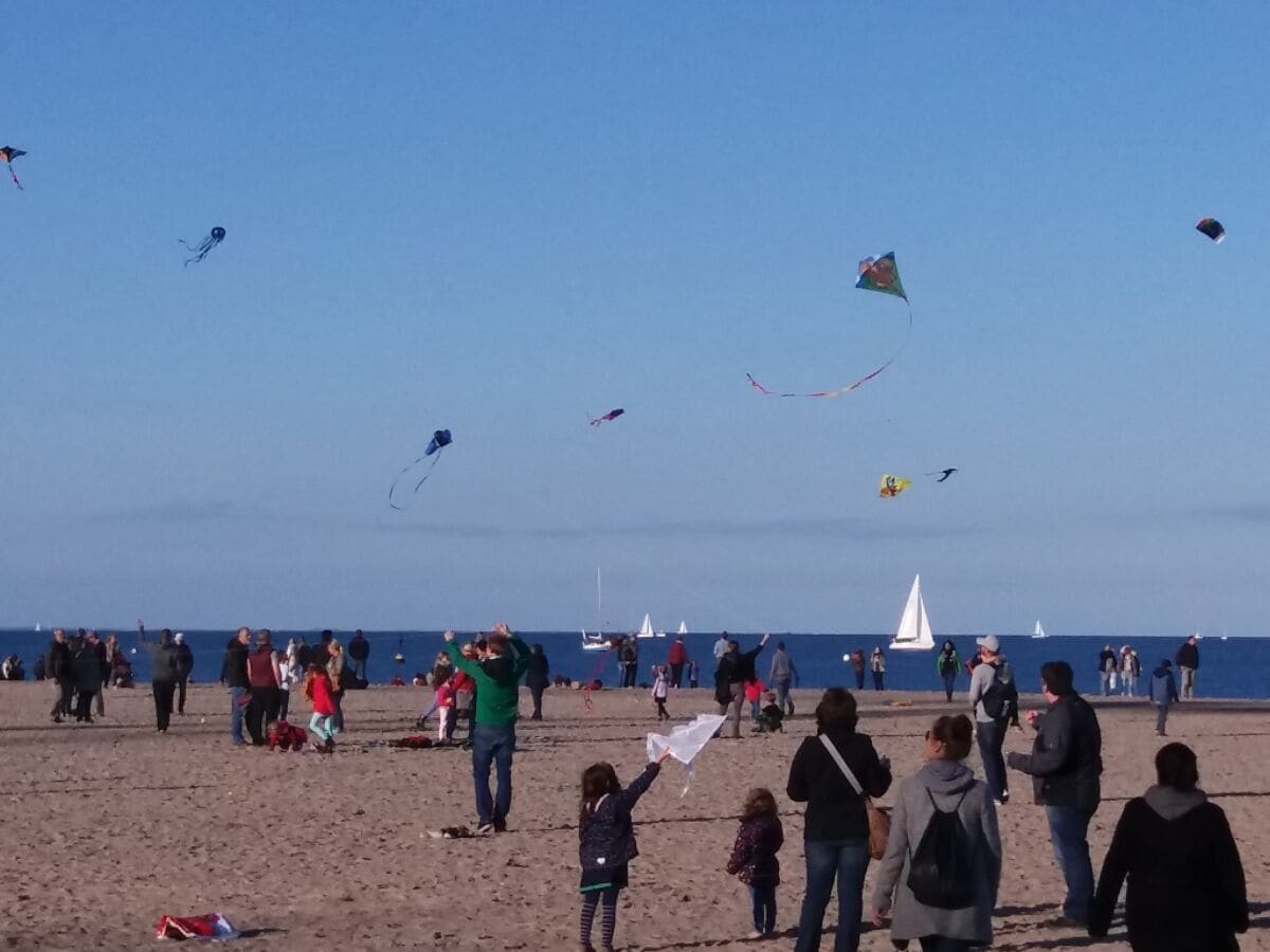 Drachenfliegen im Herbst