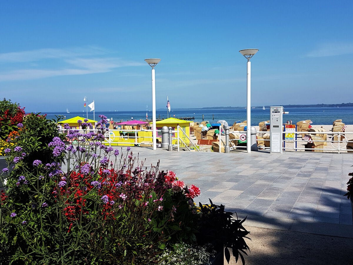 Promenade 50m vor dem Haus