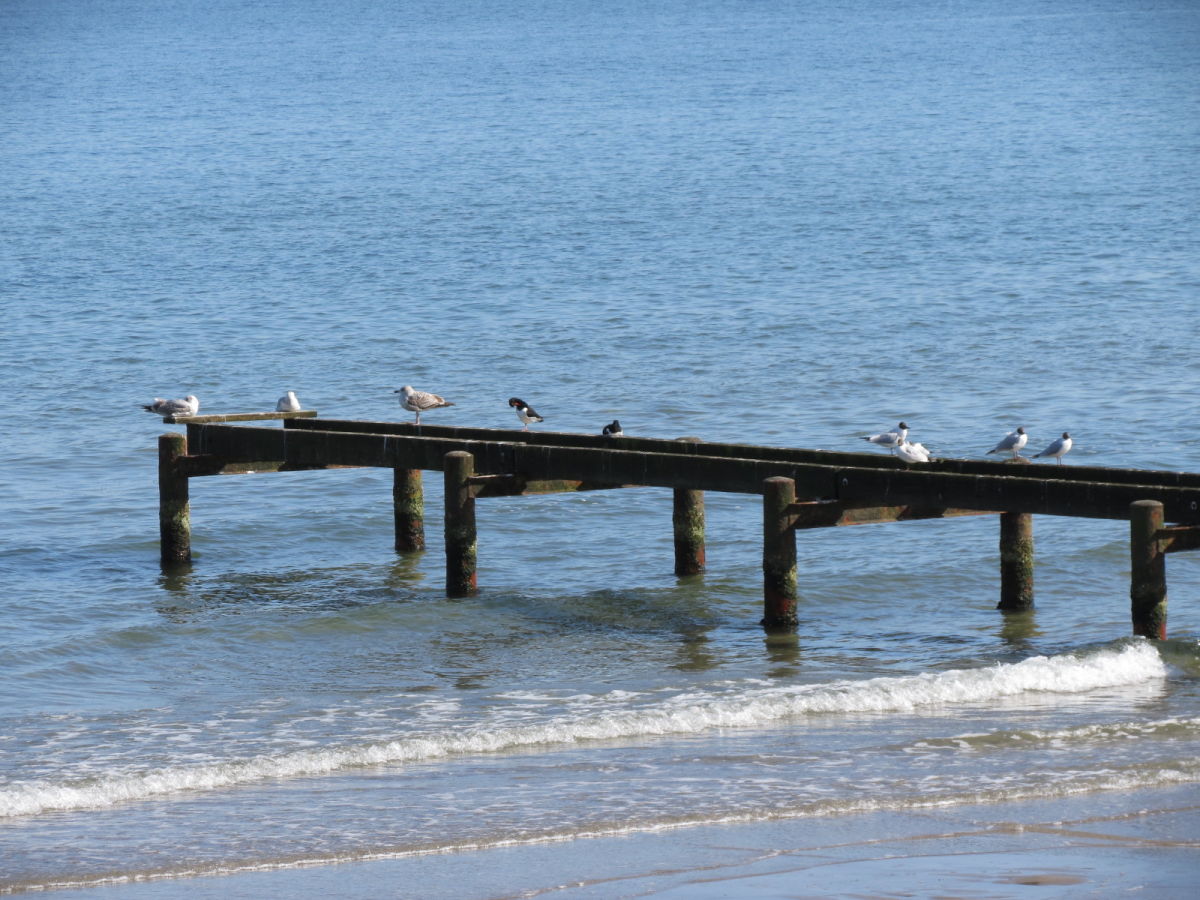 Ferienwohnung Travemünde Umgebung 26